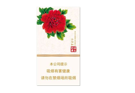 室外烟雾怎么制造