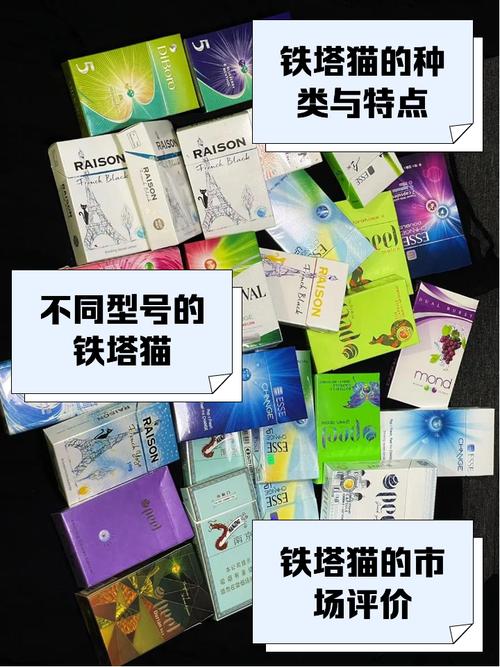 外烟推荐的小猫品牌，带你走进萌宠世界的时尚潮流